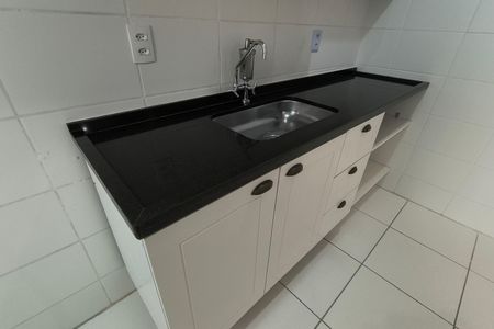Apartamento para alugar com 49m², 2 quartos e 1 vagaCozinha - Armários
