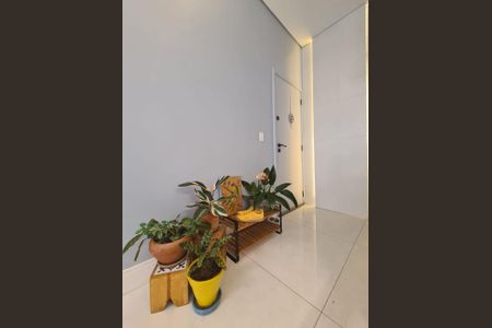 Apartamento à venda com 2 quartos, 65m² em Cambuci, São Paulo