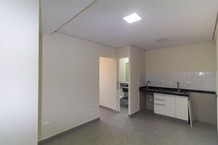 Sala de kitnet/studio para alugar com 1 quarto, 35m² em Vila Formosa, São Paulo