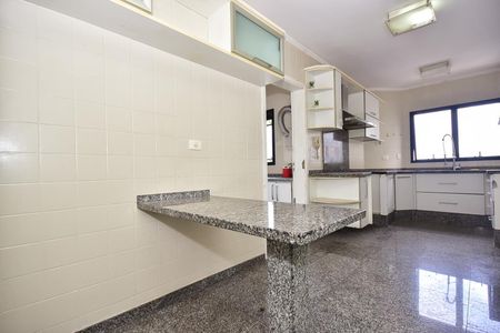 Apartamento à venda com 254m², 3 quartos e 5 vagasCozinha