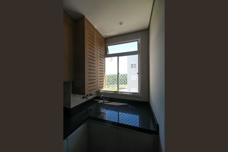 Área de Serviço de apartamento para alugar com 2 quartos, 46m² em Cidade São Mateus, São Paulo