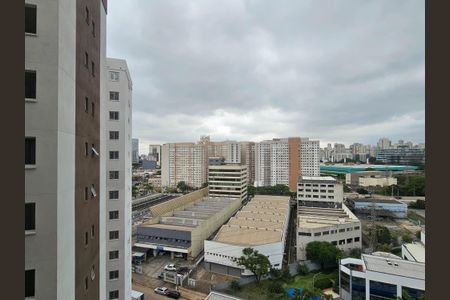 Apartamento para alugar com 35m², 2 quartos e sem vaga Apartamento para alugar com 35m², 2 quartos e sem vagaVista do Quarto 2