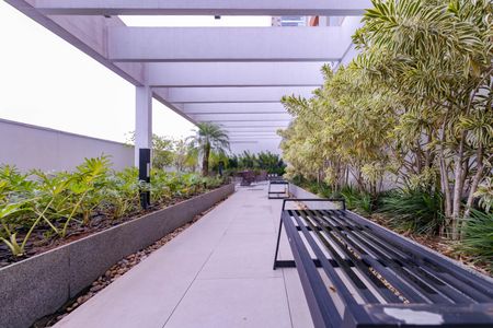 Apartamento para alugar com 116m², 3 quartos e 2 vagasÁrea Comum