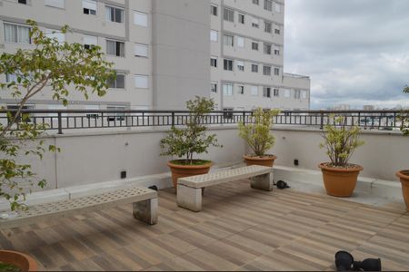 Apartamento para alugar com 35m², 2 quartos e sem vagaTerraço