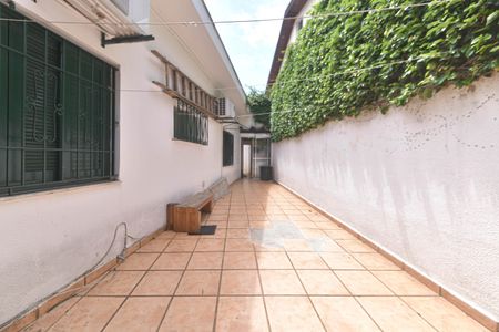 Casa à venda com 300m², 4 quartos e 4 vagasQuintal