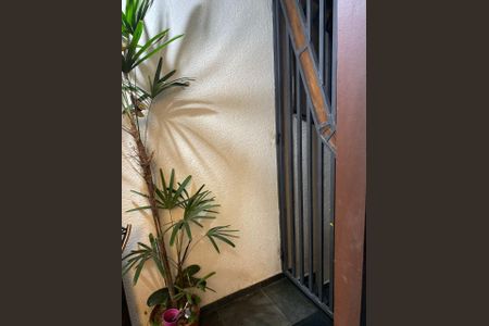 Foto 16 de casa à venda com 2 quartos, 107m² em Tucuruvi, São Paulo
