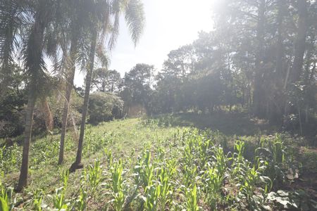 Casa para alugar com 5000m², 4 quartos e 3 vagasQuintal