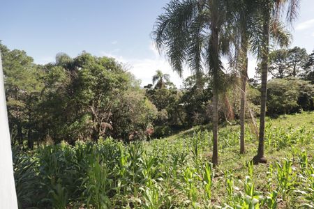 Casa para alugar com 5000m², 4 quartos e 3 vagasQuintal