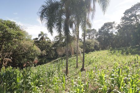 Casa para alugar com 5000m², 4 quartos e 3 vagasQuintal