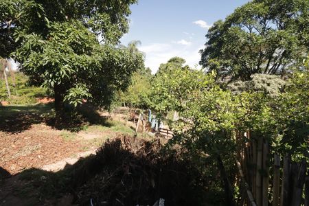 Casa para alugar com 5000m², 4 quartos e 3 vagasQuintal