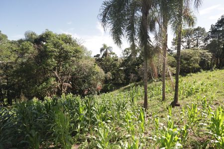 Casa para alugar com 5000m², 4 quartos e 3 vagasQuintal