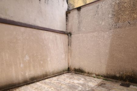 Casa para alugar com 245m², 4 quartos e 4 vagasQuintal