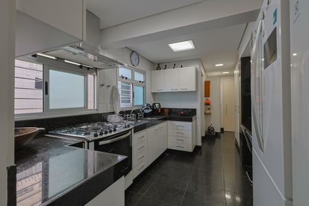 Apartamento para alugar com 223m², 3 quartos e 3 vagasCozinha