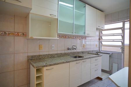 Apartamento para alugar com 48m², 1 quarto e sem vagaCozinha 