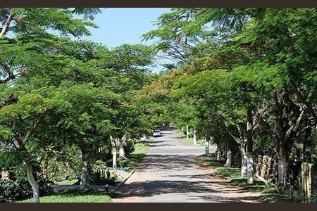 Casa de condomínio à venda com 278m², 3 quartos e 2 vagas