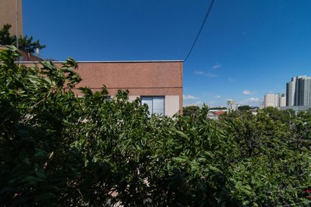 Apartamento para alugar com 75m², 2 quartos e 1 vagaVista do Quarto 1