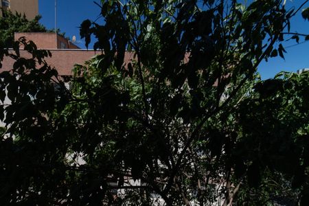 Vista do Quarto 2 de apartamento para alugar com 2 quartos, 75m² em Parque Residencial da Lapa, São Paulo