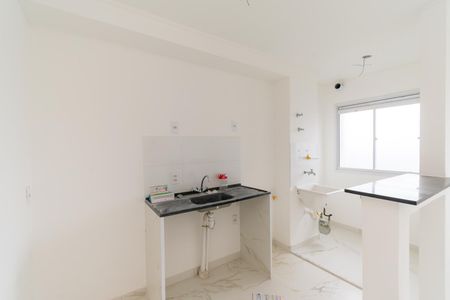 Apartamento para alugar com 37m², 2 quartos e 1 vagaCozinha