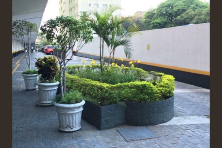 Apartamento à venda com 3 quartos, 103m² em Tatuapé, São Paulo