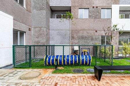 Área comum - Pet place de apartamento para alugar com 1 quarto, 25m² em Vila Butantã, São Paulo
