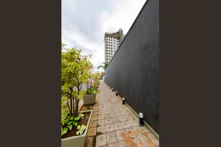 Apartamento para alugar com 70m², 3 quartos e 2 vagasÁrea comum