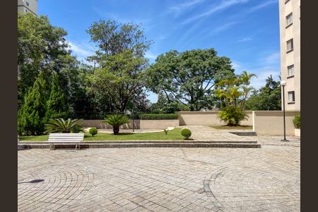 Apartamento para alugar com 66m², 2 quartos e 1 vaga Apartamento para alugar com 66m², 2 quartos e 1 vagaÁrea comum