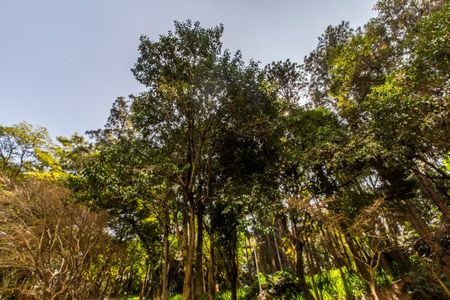 Apartamento para alugar com 207m², 3 quartos e 3 vagasVista da Rua