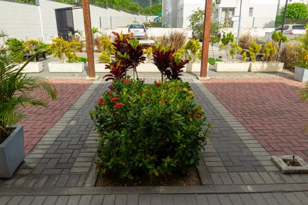 Apartamento para alugar com 42m², 2 quartos e sem vaga Apartamento para alugar com 42m², 2 quartos e sem vagaÁrea externa