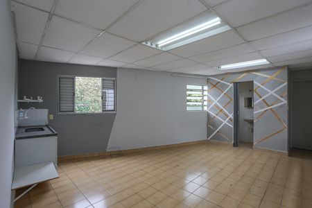 Studio de casa para alugar com 1 quarto, 20m² em Bosque da Saúde, São Paulo