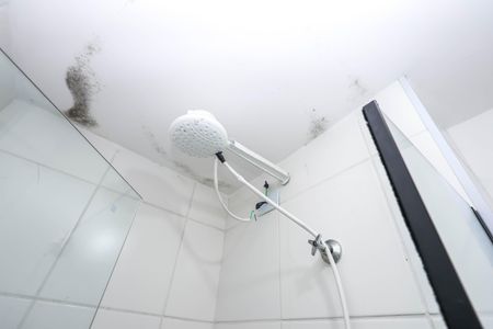 Apartamento para alugar com 31m², 2 quartos e sem vagaBanheiro