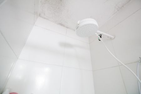 Apartamento para alugar com 61m², 2 quartos e sem vagaBanheiro