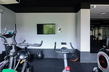 Apartamento à venda com 320m², 3 quartos e 3 vagasÁrea comum - Academia