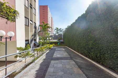 Apartamento à venda com 67m², 3 quartos e 1 vagaÁrea comum