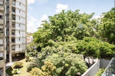 Vista da Varanda de apartamento para alugar com 2 quartos, 54m² em Mirandópolis, São Paulo