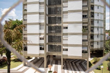 Vista do Quarto 1 de apartamento para alugar com 2 quartos, 54m² em Mirandópolis, São Paulo