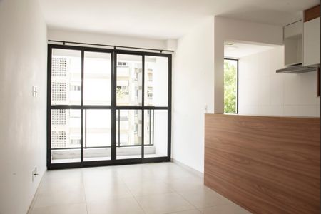 Sala de apartamento para alugar com 2 quartos, 54m² em Mirandópolis, São Paulo