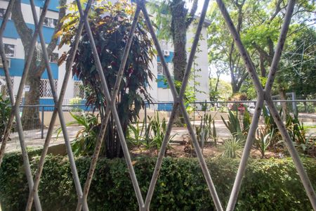 Apartamento à venda com 50m², 2 quartos e 1 vagaVista