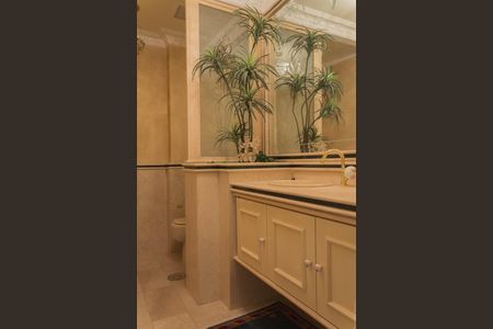 Apartamento à venda com 412m², 5 quartos e 5 vagasLavabo