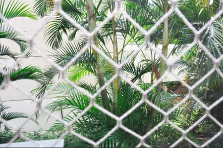 Vista da Sala de apartamento para alugar com 2 quartos, 48m² em Jardim Iris, São Paulo