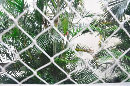 Apartamento para alugar com 48m², 2 quartos e sem vagaVista do Quarto 01