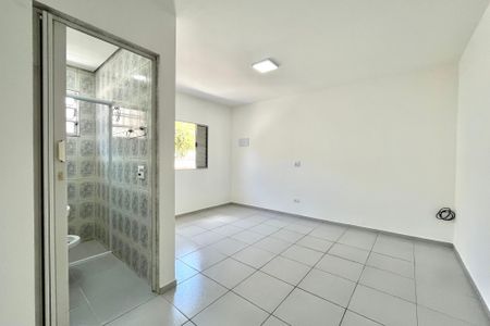 Suite de casa para alugar com 1 quarto, 45m² em Vila Santa Catarina, São Paulo