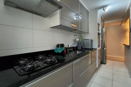 Apartamento para alugar com 79m², 2 quartos e 1 vagaCozinha - Armários