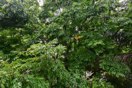 Apartamento para alugar com 46m², 2 quartos e 1 vagaVista do Quarto 2