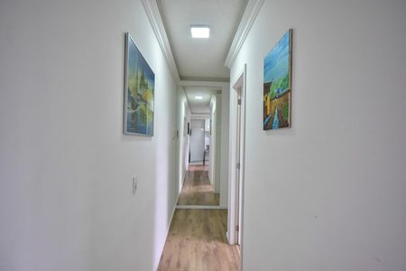Corredor de apartamento para alugar com 2 quartos, 46m² em Jardim Leonidas Moreira, São Paulo