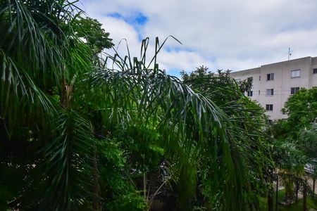 Vista do Quarto 1 de apartamento para alugar com 2 quartos, 46m² em Jardim Leonidas Moreira, São Paulo