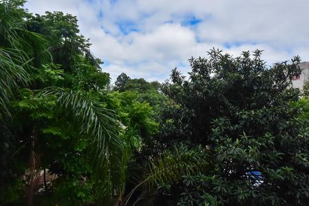 Vista de apartamento para alugar com 2 quartos, 46m² em Jardim Leonidas Moreira, São Paulo