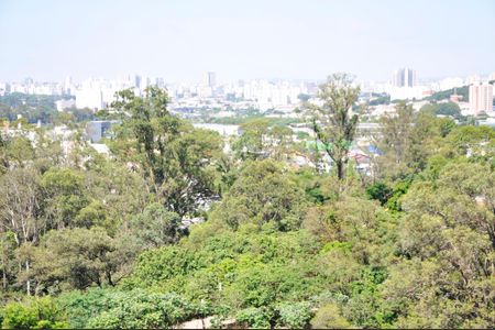 Apartamento para alugar com 69m², 2 quartos e 1 vagaDetalhe - Vista da Varanda da Sala