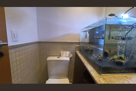 Apartamento para alugar com 71m², 2 quartos e 1 vaga Apartamento para alugar com 71m², 2 quartos e 1 vagaBanheiro Social