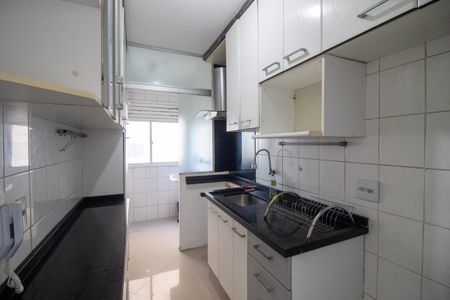 Cozinha de apartamento para alugar com 2 quartos, 50m² em Jardim Celeste, São Paulo