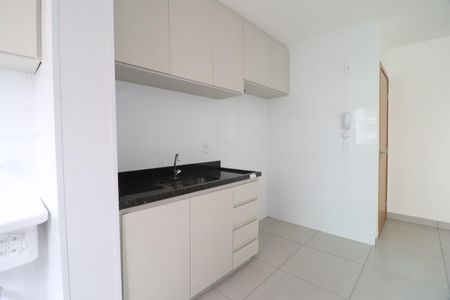 Apartamento para alugar com 60m², 2 quartos e 2 vagasCozinha
